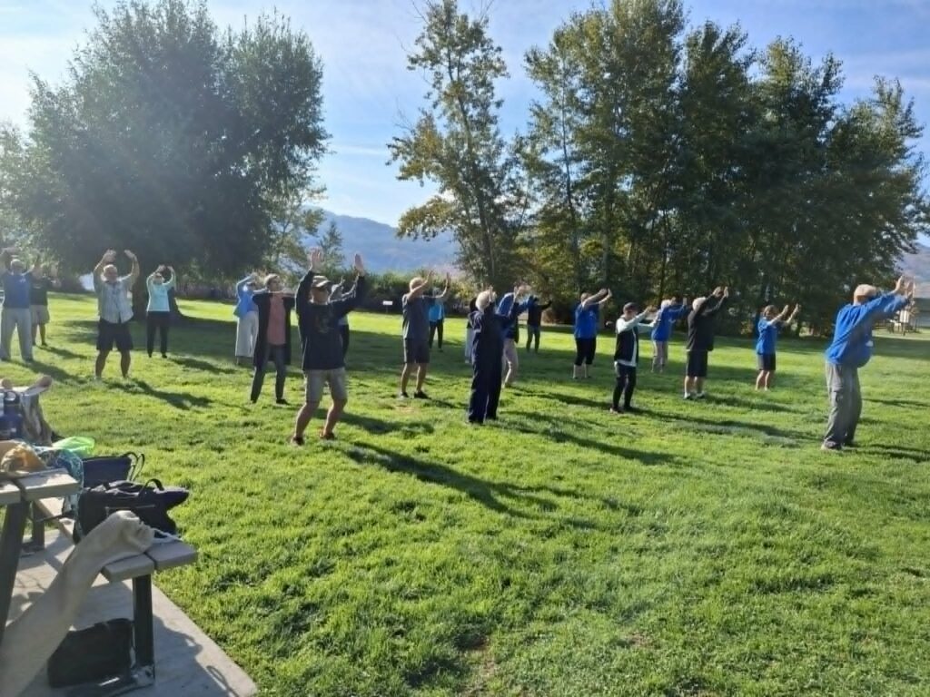 Tai Chi in the park on the grass and surrounded by trees